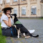 Miłośnicy zwierząt pokochali tak podróżować. Nie płacą fortuny za hotele