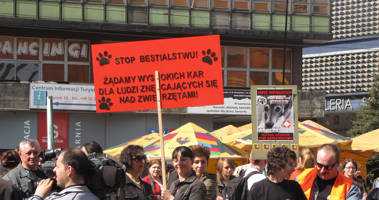 Miłośnicy zwierząt protestują przeciwko przemocy i zabijaniu