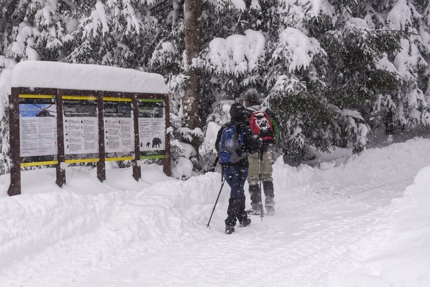 Mimo ostrzeżeń część turystów wychodzi w góry /Jan Niedziałek /PAP