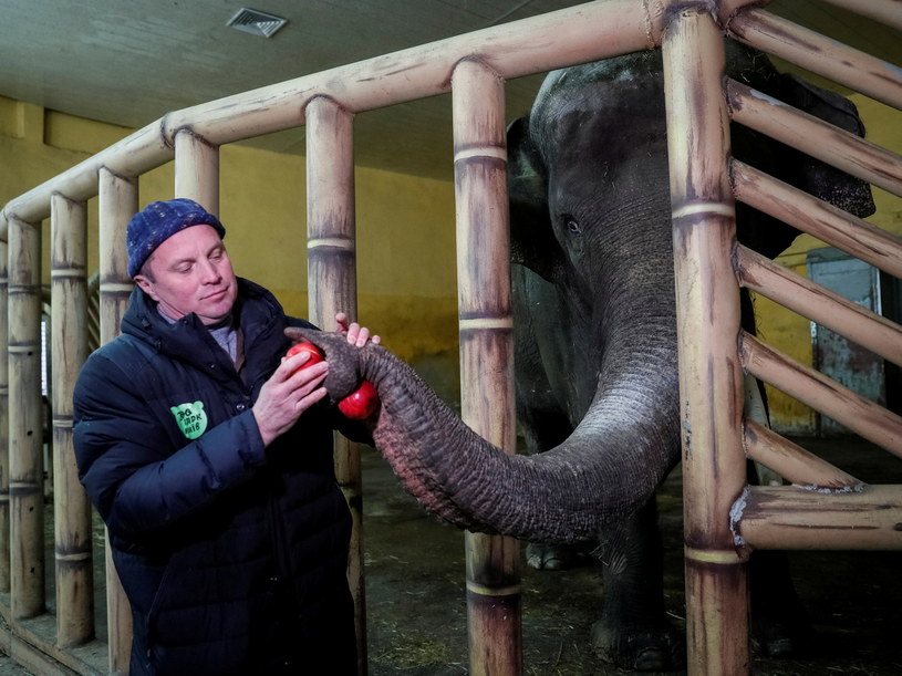 Mimo trwającej wojny, w Kijowie wiele osób nadal sprawuje opiekę nad zwierzętami /Gleb Garanich /Agencja FORUM