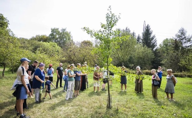 ​Mimozami jesień się zaczyna w Ogrodzie Botanicznym