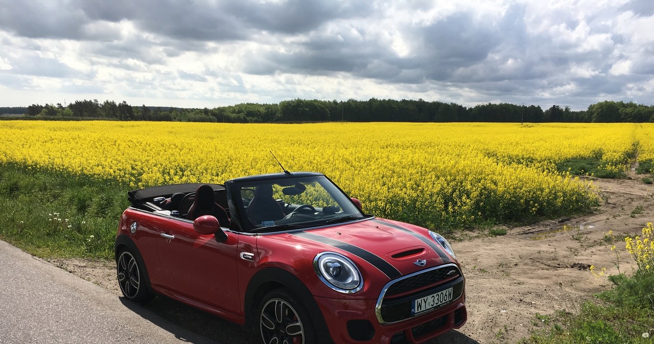 Mini Cabrio John Cooper Works /INTERIA.PL