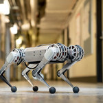 Mini Cheetah - robotgepard, który zrobi salto wstecz