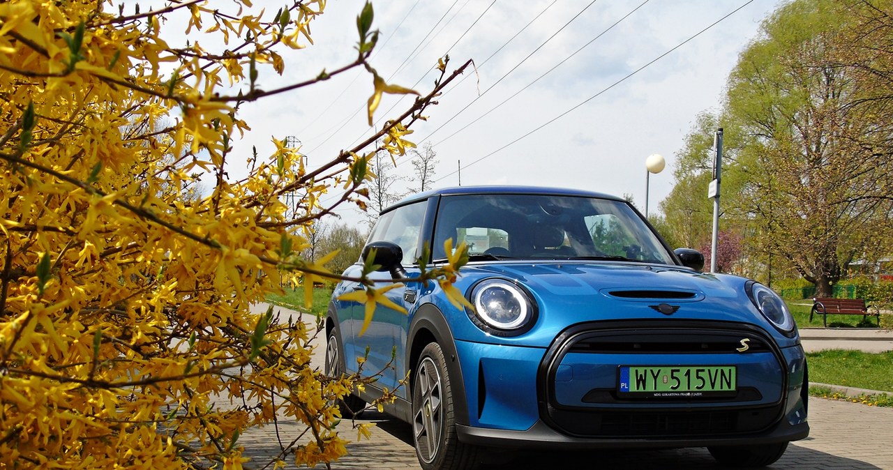 Mini Cooper SE /INTERIA.PL