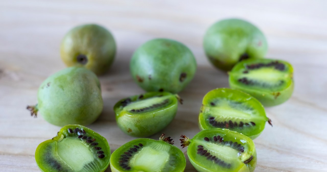 Mini kiwi zawiera mnóstwo witaminy C /anastasiiaz /123RF/PICSEL