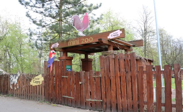 Mini zoo w chorzowskim ogrodzie kończy swoją działalność