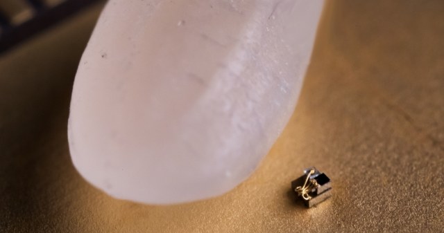 Minikomputer ma wymiary 0,3 x 0,3 mm /materiały prasowe