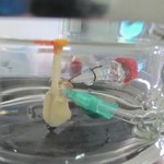 Minipłuco z drukarki 3D do testów nowych leków
