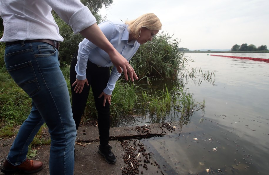 Minister Anna Moskwa nad Odrą /Jerzy Muszyński /PAP