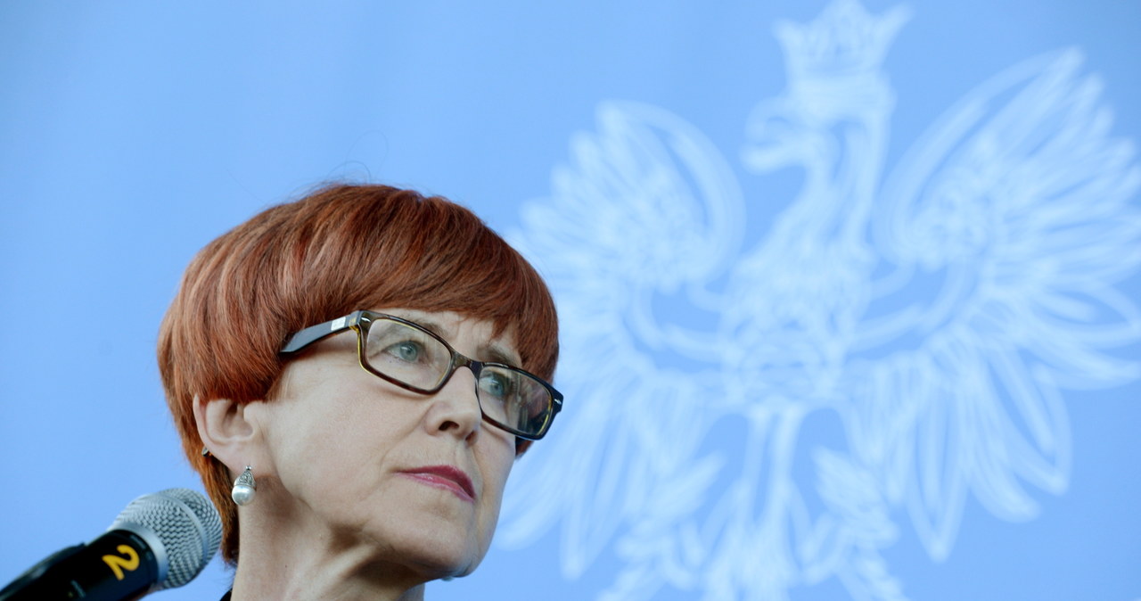 Minister Elżbieta Rafalska /PAP