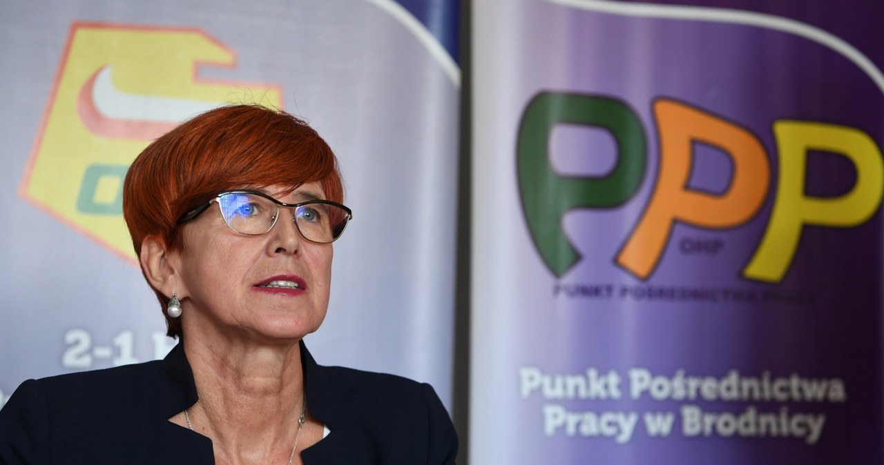 Minister Elżbieta Rafalska /PAP