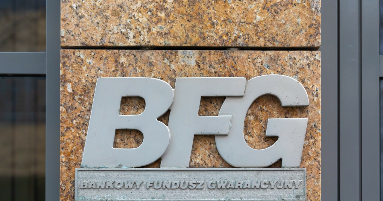 Minister finansów powołał do rady BFG nowych członków /Fot. Arkadiusz Ziolek/East News /East News