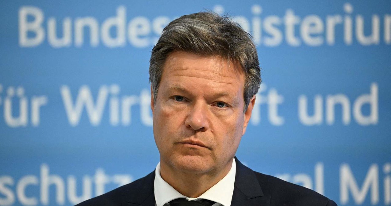 Minister gospodarki Niemiec Robert Habeck /TOBIAS SCHWARZ /AFP