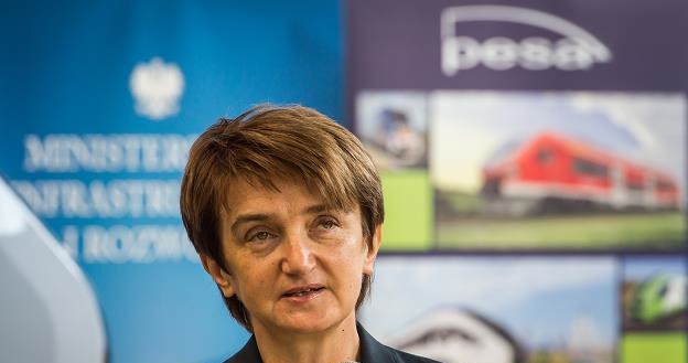 Minister infrastruktury i rozwoju Maria Wasiak /PAP