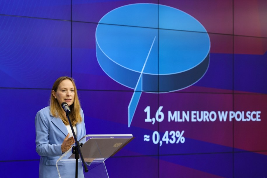 Minister Katarzyna Pełczyńska-Nałęcz w trakcie konferencji prasowej /Paweł Supernak /PAP