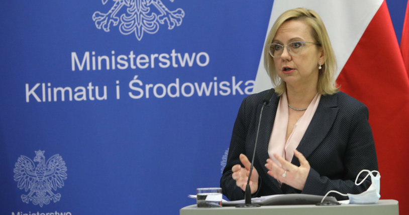 Minister klimatu i środowiska Anna Moskwa. /Tomasz Jastrzębowski /Reporter