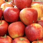 Minister podejrzewa zmowę w związku z interwencyjnym skupem jabłek