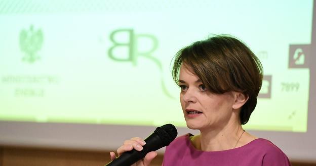 Minister przedsiębiorczości i technologii Jadwiga Emilewicz /PAP