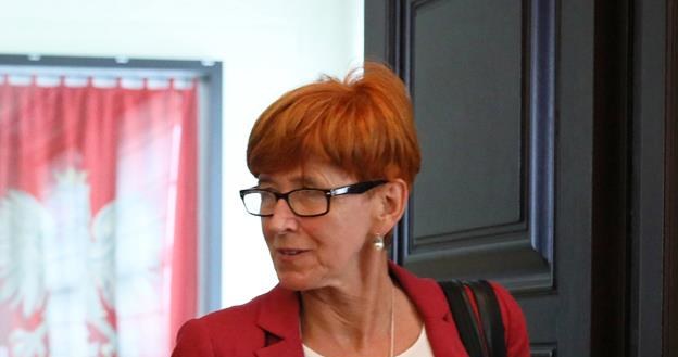 Minister rodziny Elżbieta Rafalska /PAP