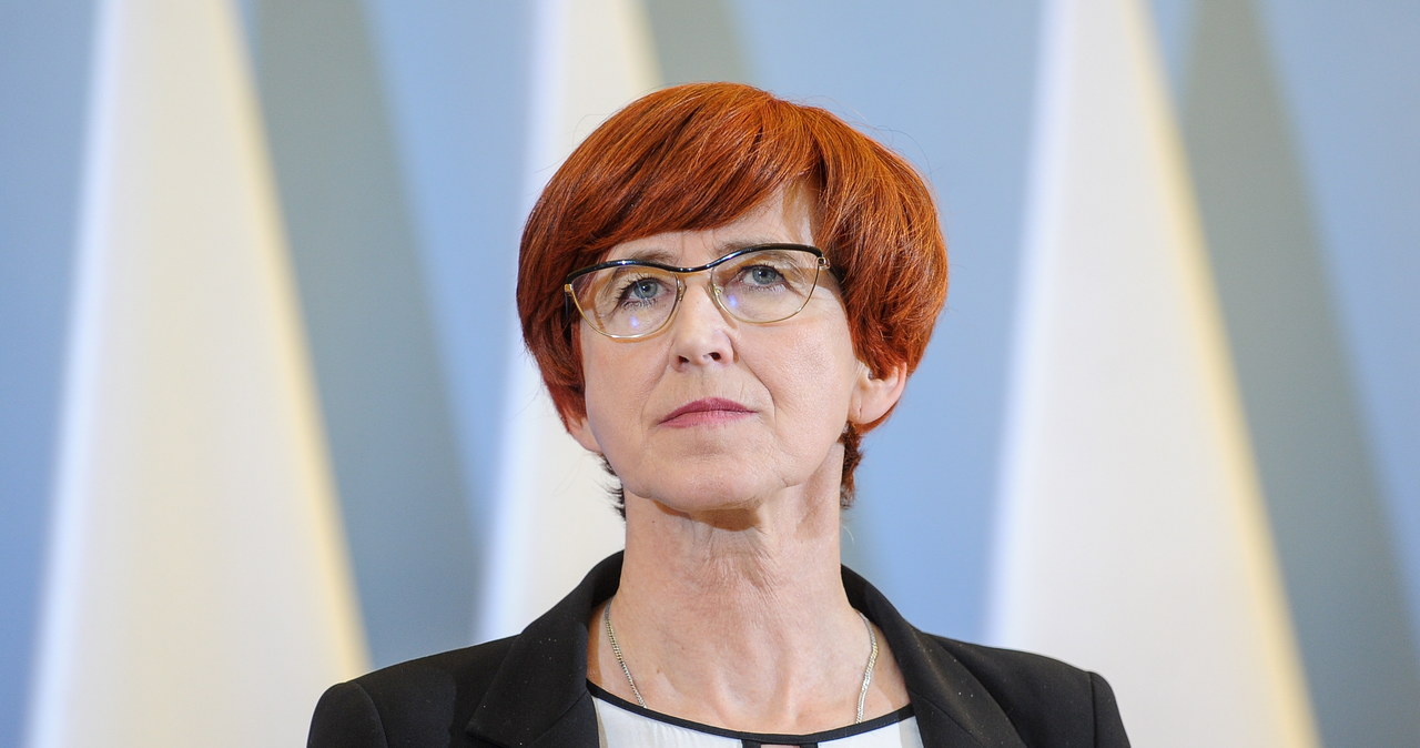 Minister rodziny, pracy i polityki społecznej Elżbieta Rafalska /PAP