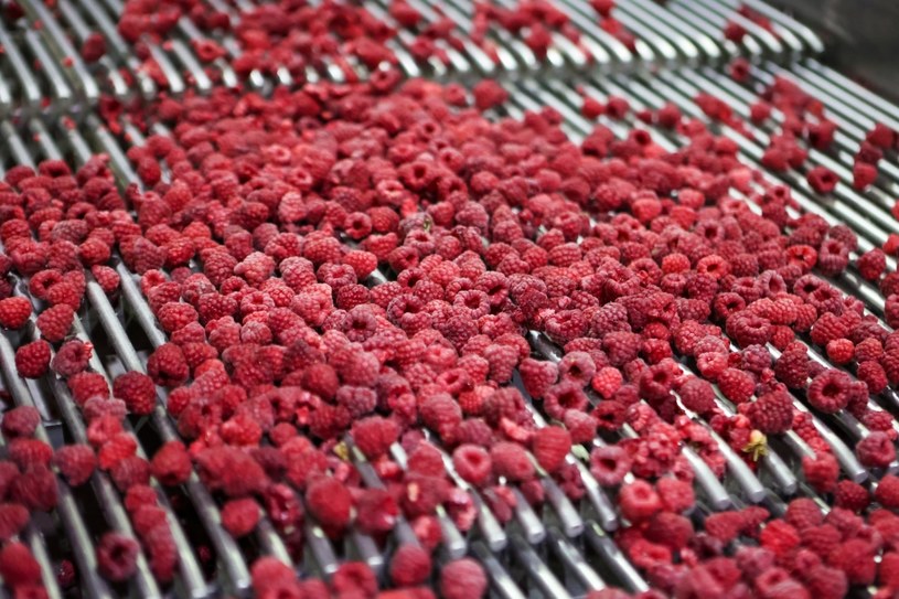 Minister rolnictwa chce zakazu importu mrożonych malin i truskawek z Ukrainy /Yurii Rylchuk/NurPhoto /AFP