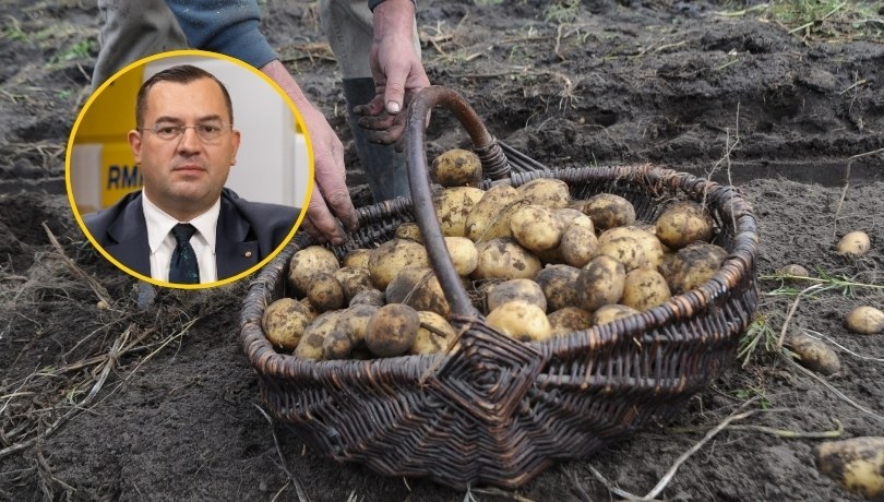 Minister rolnictwa: Myślę, że rolnicy zgodziliby się na kontraktację w handlu ziemniakami /Jakub Rutka/RMF FM/Marcin Bielecki/PAP /