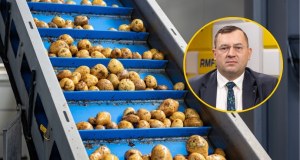 Minister rolnictwa o podwyżkach cen żywności i programie SAFE