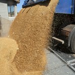 Minister rolnictwa potwierdza: Zakaz importu zboża z Ukrainy przedłużony o kolejne miesiące