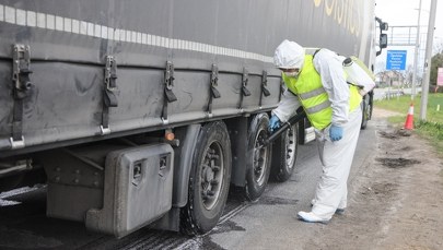 Minister rolnictwa uspokaja. Chodzi o pryszczycę