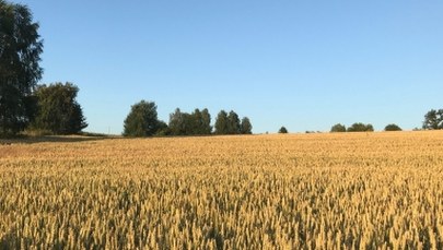 Minister rolnictwa zapowiada plan dla wsi. Rolnicy odpowiadają: Puste słowa