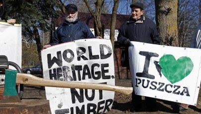 Minister środowiska: 1/3 nadleśnictw w Puszczy Białowieskiej pozostanie bez ingerencji człowieka
