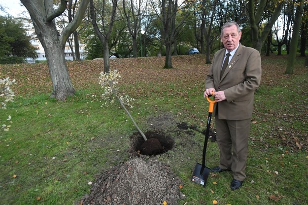 Minister środowiska Jan Szyszko podczas październikowej akcji sadzenia drzew w Parku Szczęśliwickim w Warszawie /Bartłomiej Zborowski /PAP