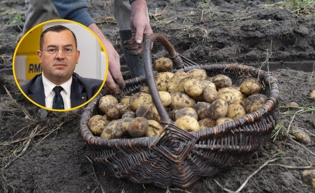 Minister w RMF FM: Myślę, że rolnicy by się na to zgodzili