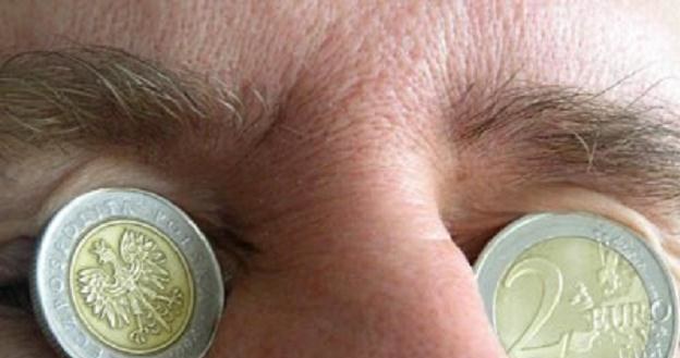 Ministerstwo Finansów planuje mniej wymiany euro na rynku w 2-3 kw /INTERIA.PL