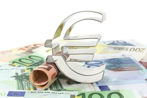 Ministerstwo Finansów wstrzymało prace nad Narodowym Planem Wprowadzenia Euro /&copy;123RF/PICSEL
