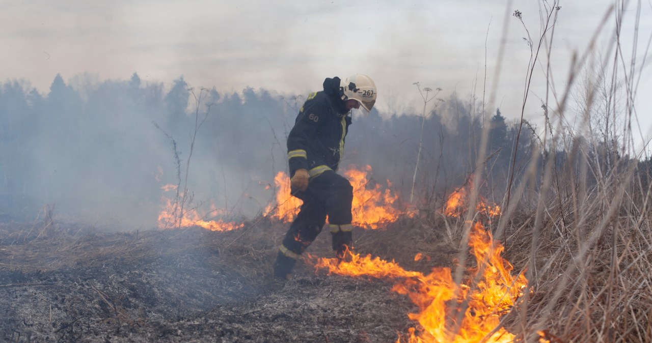 Ministerstwo Sprawiedliwości walczy z wypalaniem traw. Nawet 30 tys. zł kary /123RF/PICSEL