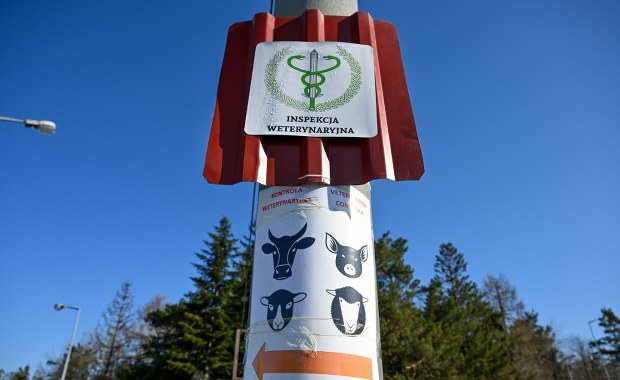 Ministerstwo uspokaja: W Polsce nie ma pryszczycy