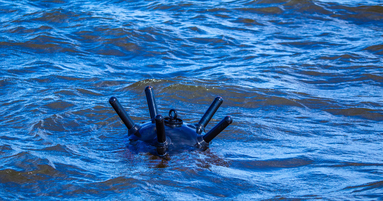 Miny wodne wciąż są poważnym zagrożeniem dla nurków /123RF/PICSEL