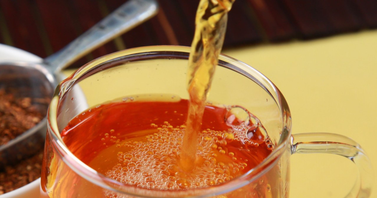 Miodokrzew ma działanie wspierające oczyszczanie organizmu z toksyn /123RF/PICSEL