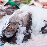 Miruna: Jaka to ryba i czy warto ją jeść?