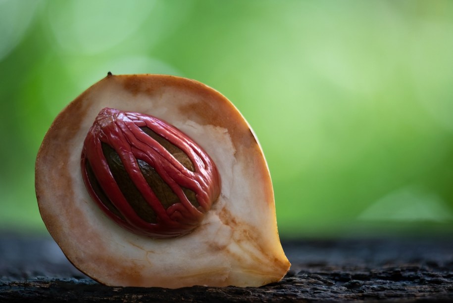 Mirystycyna z gałki muszkatołowej może poprawiać nastrój. /Shutterstock
