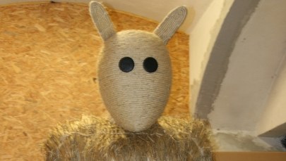 Miś szuka miejsca, gdzie najlepiej widać osiągnięcia pięciolatki Tuska 