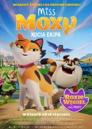 Miss Moxy. Kocia ekipa