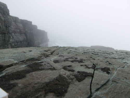 Mistaken Point &nbsp; /Fot. Oxford University