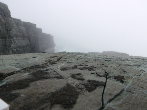 Mistaken Point &nbsp; /Fot. Oxford University