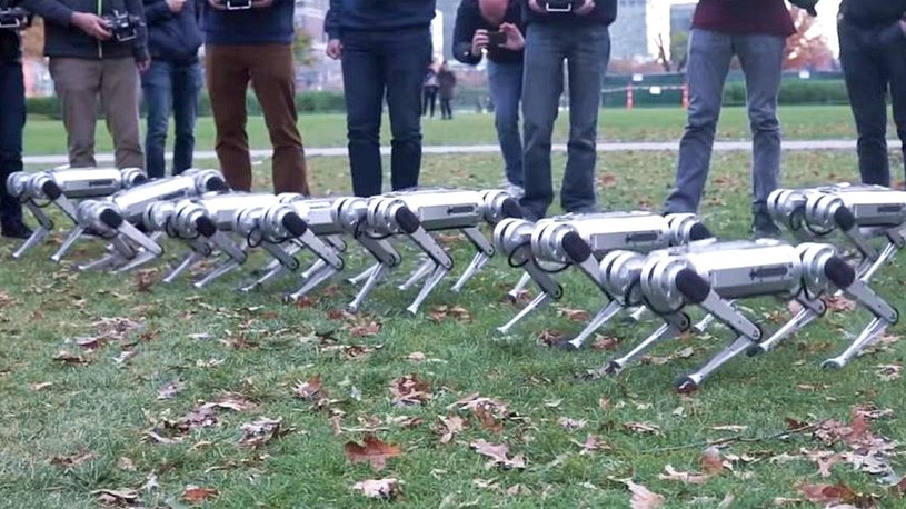 MIT chce zalać miasta małymi, ale sprytnymi robotami o nazwie MiniCheetah (film) /Geekweek
