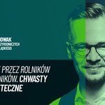 Mity o chwastach. Biolog: każda roślina jest pożyteczna