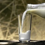 Mleko: Dobra koniunktura sprzyja inwestycjom rozwojowym