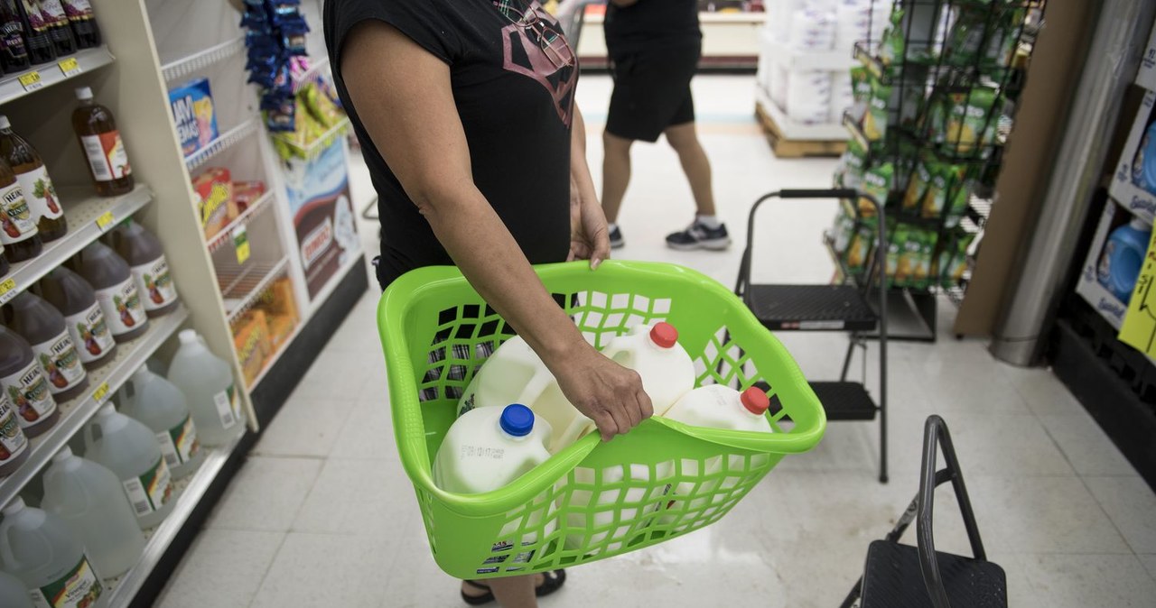 Mleko doporne na pandemie koronawirusa? /AFP