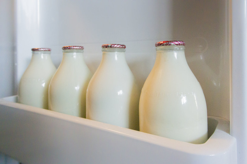 Mleko nie tylko nie jest potrzebne dorosłym, ale wręcz im szkodzi /123RF/PICSEL